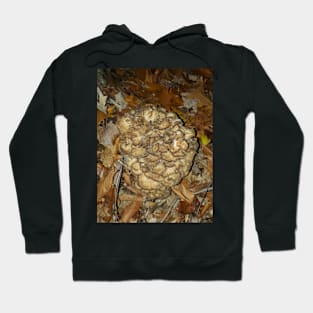 Mountain Maitake Hoodie